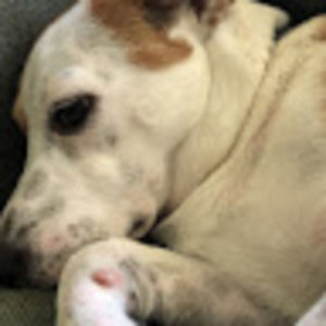 Meet your Posher, Ethan